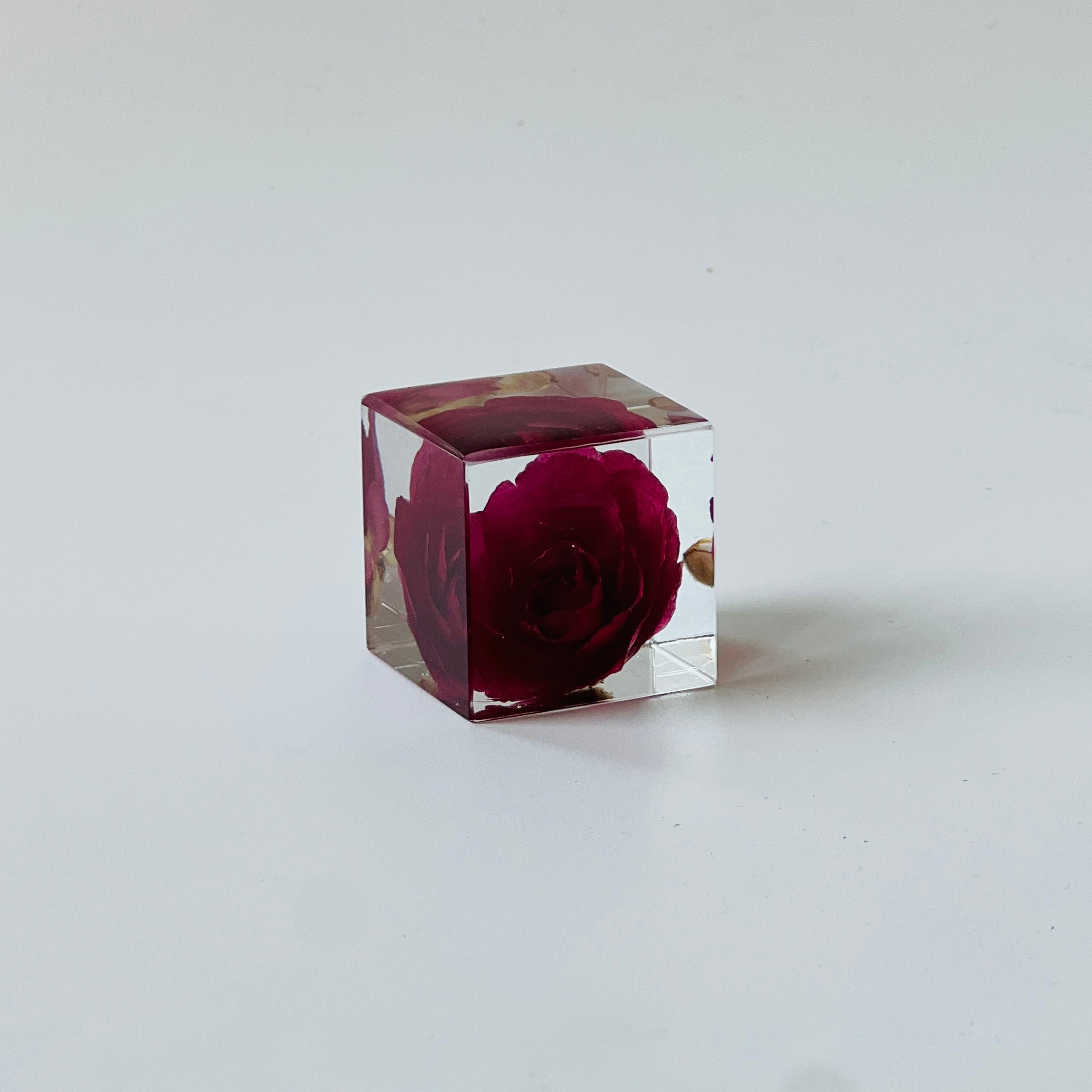 Preserved red rose in a Sola Cube, capturing vibrant hues and details, set in a clear resin cube for 360-degree viewing. Ideal for gifting as a timeless decor piece.