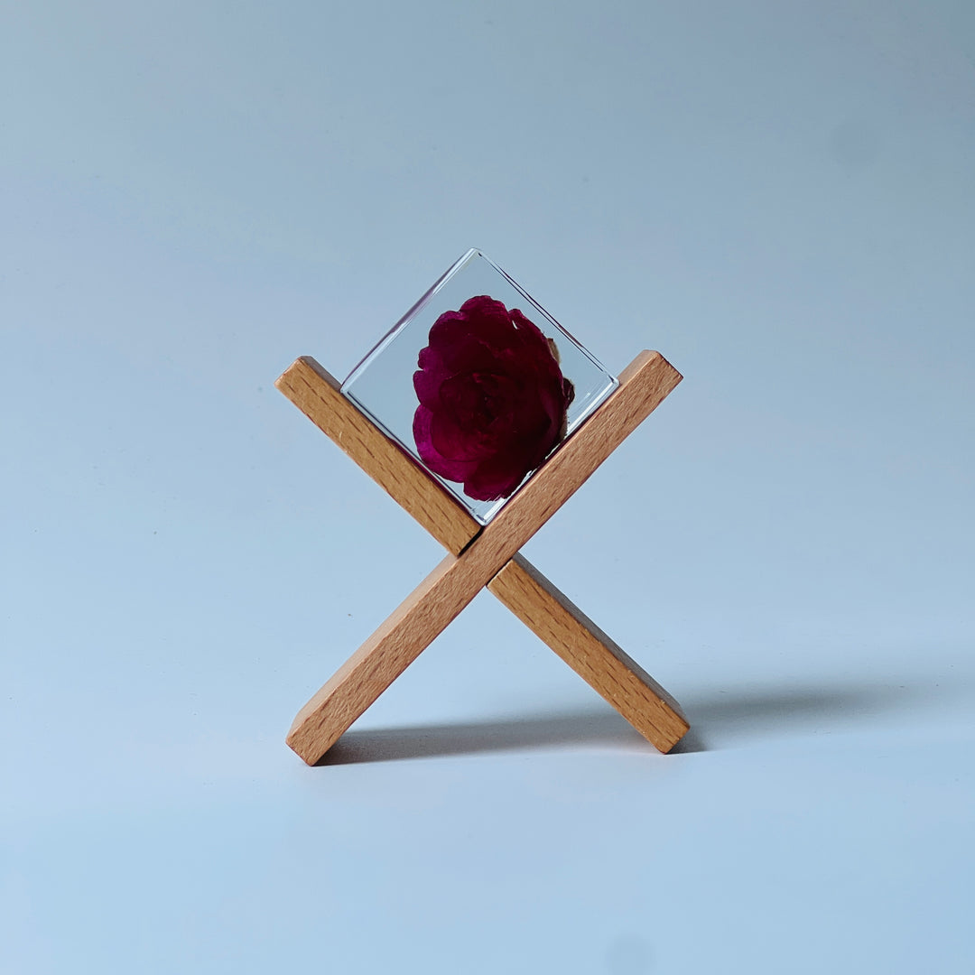 Solo Cube - Rose