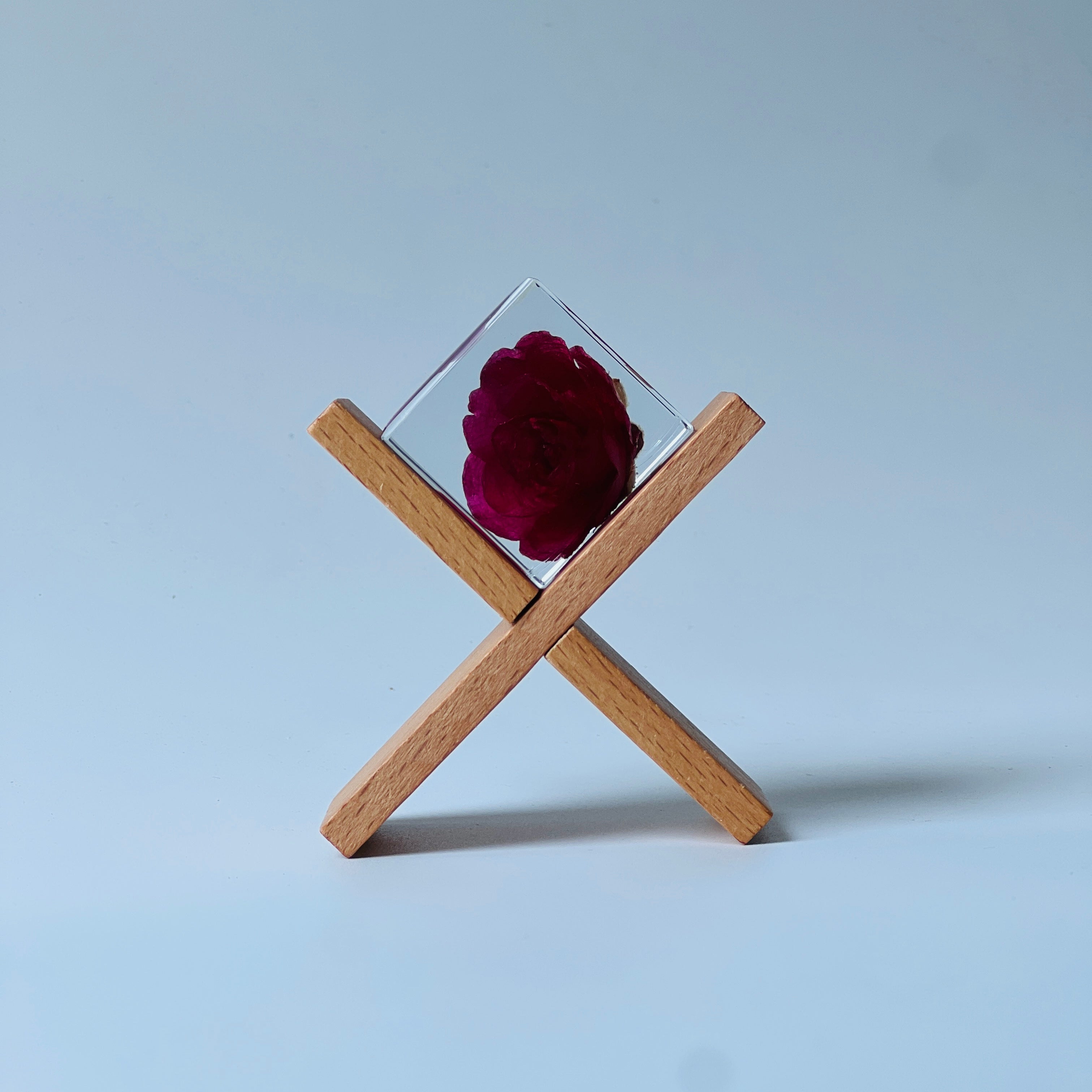 Preserved red rose in a Sola Cube, capturing vibrant hues and details, set in a clear resin cube for 360-degree viewing. Ideal for gifting as a timeless decor piece.