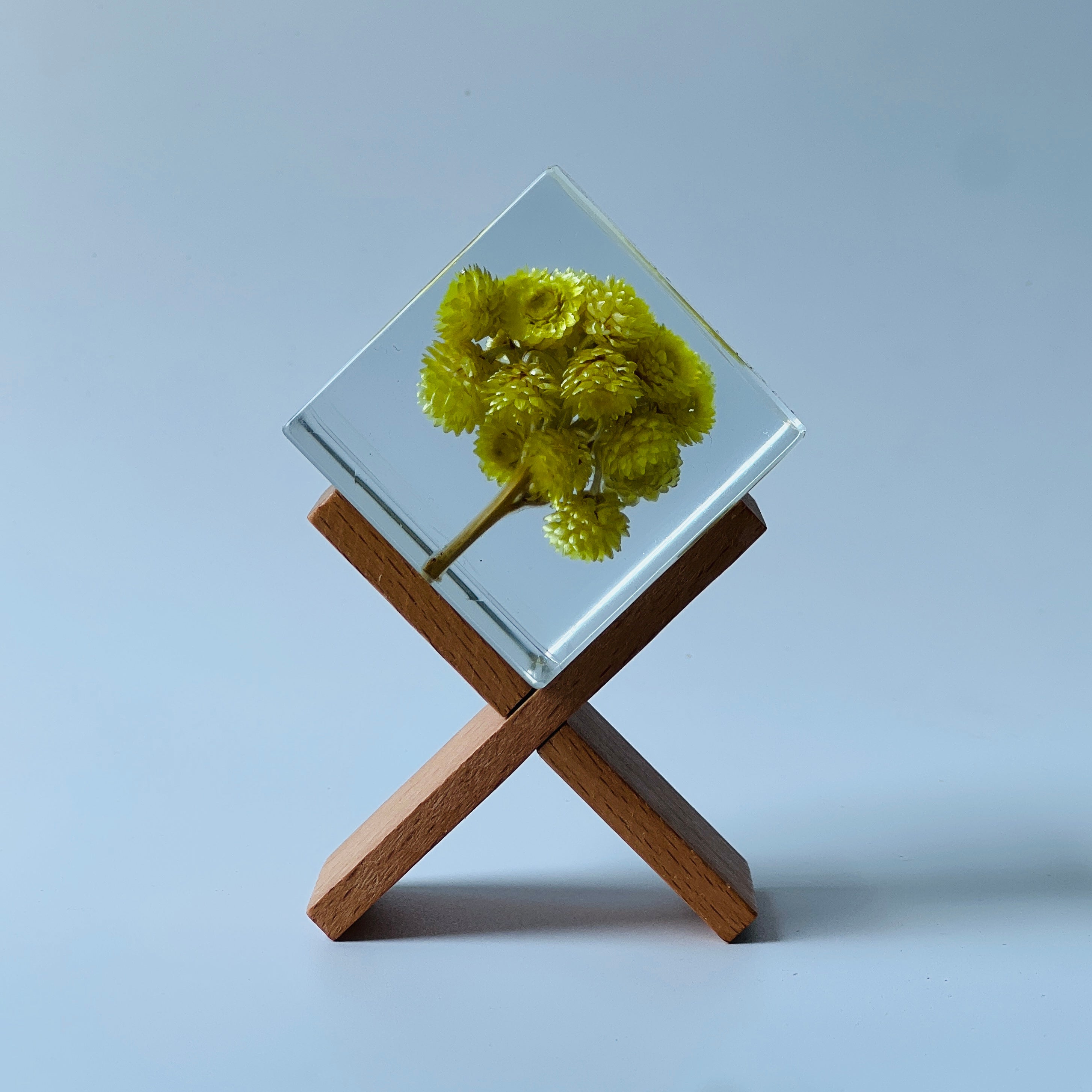 The Sola Cube features a preserved chrysanths flower encased in clear resin, highlighting the vibrant hues and intricate details from every angle. A perfect eternity flower gift for adding a natural, serene touch to any decor or as a thoughtful gesture for special occasions.