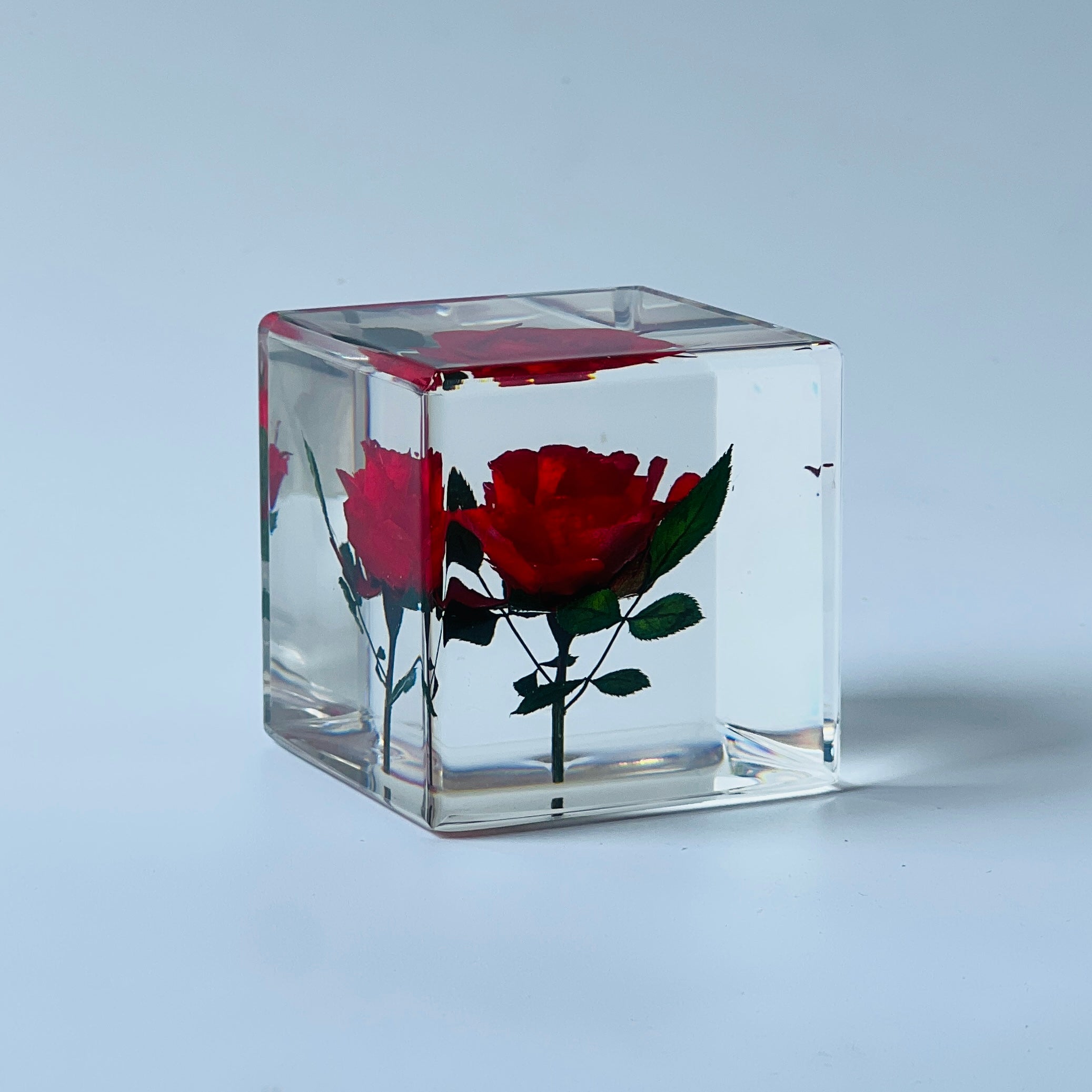 The Sola Cube features a preserved red rose encased in clear resin, showcasing the flower's vibrant hue and intricate details. This unique eternity rose piece is perfect for adding natural beauty to any decor or gifting on special occasions.