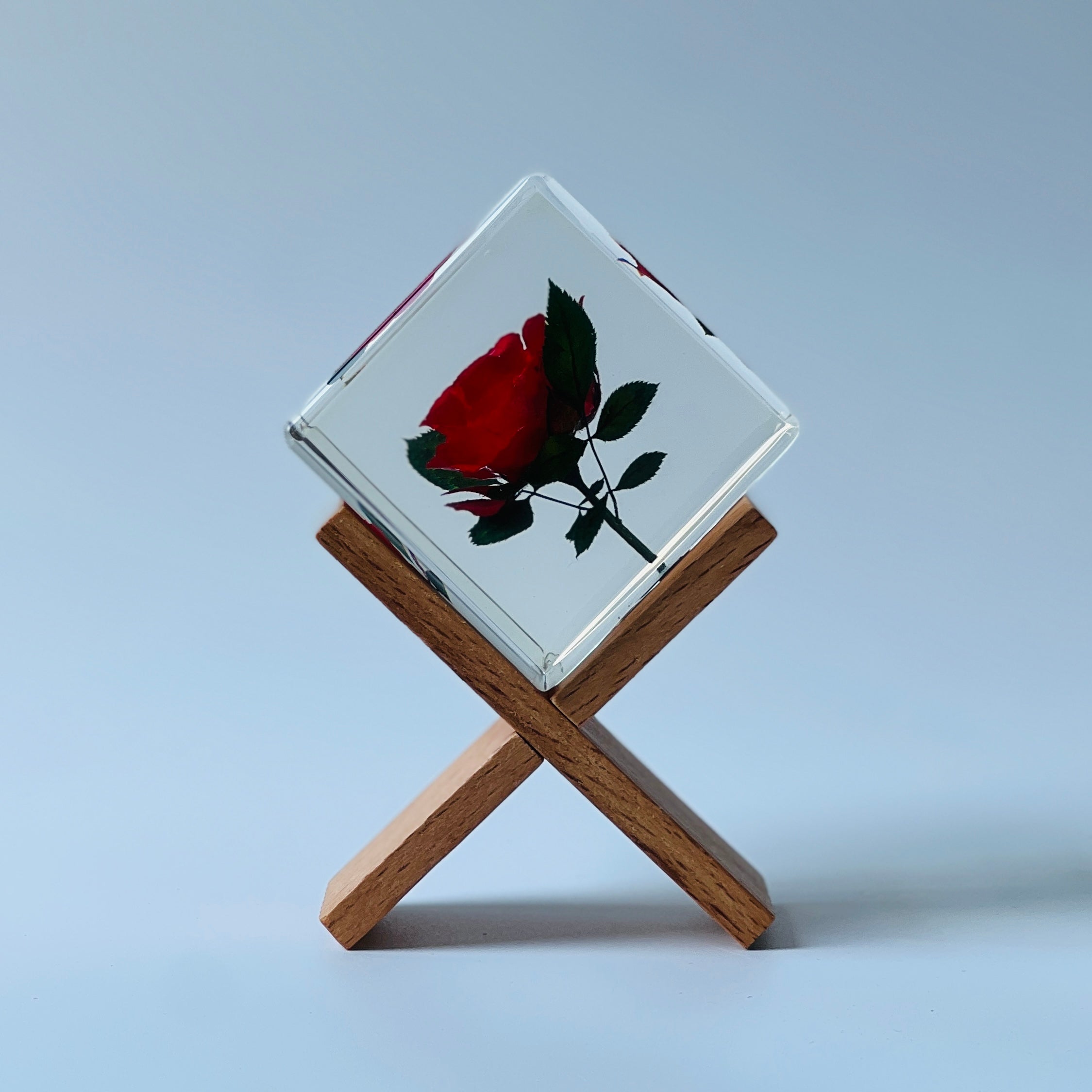 The Sola Cube features a preserved red rose encased in clear resin, showcasing the flower's vibrant hue and intricate details. This unique eternity rose piece is perfect for adding natural beauty to any decor or gifting on special occasions.