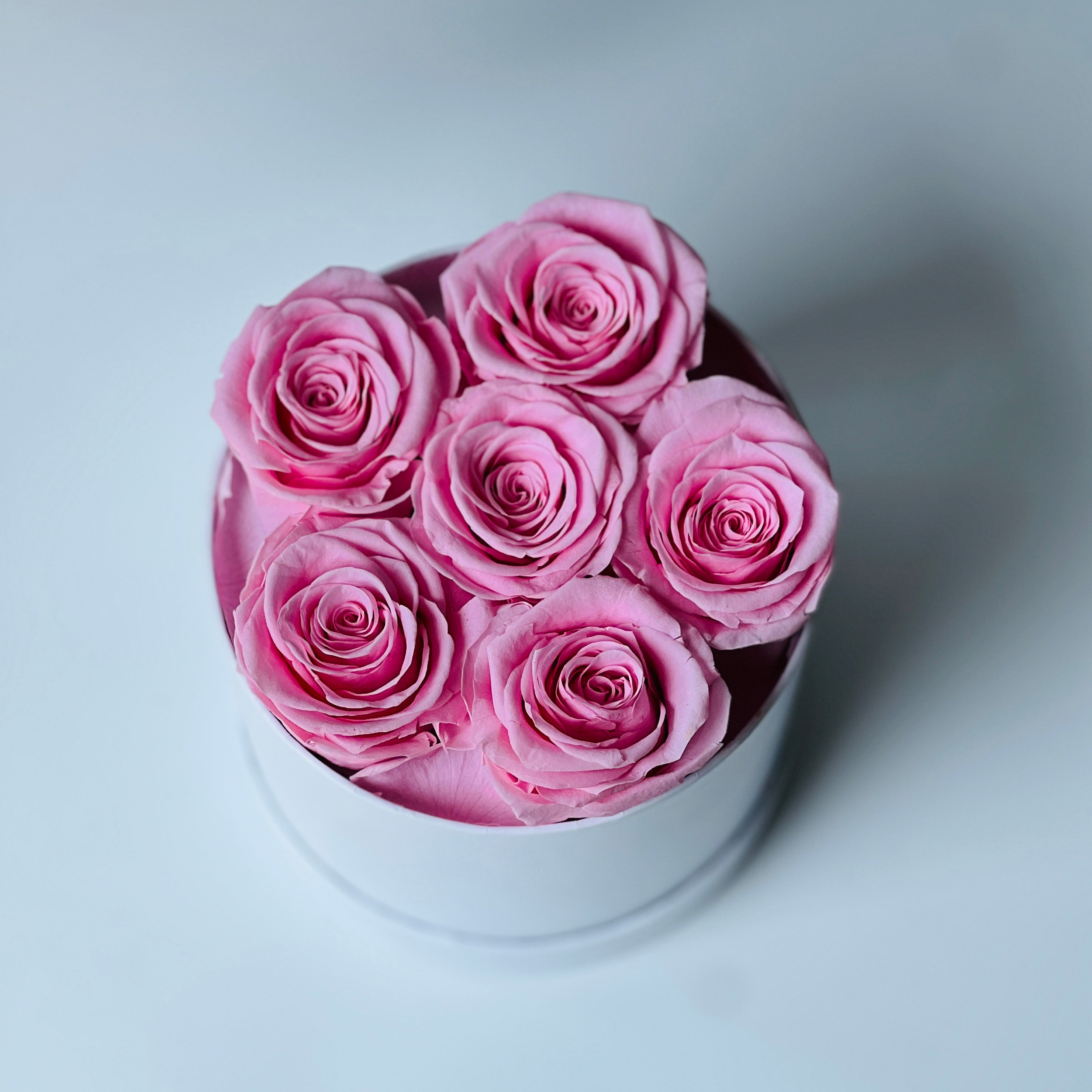 The Pink Elegance Box features a charming collection of preserved soft pink roses, beautifully arranged in a sleek white box. This elegant eternity rose gift is perfect for adding a touch of timeless beauty to any space or special occasion.