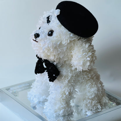 Petal Paw - White Poodle