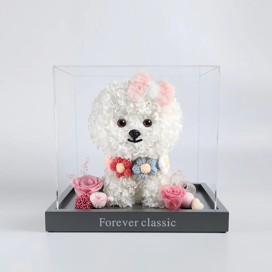 Petal Paw - Maltese