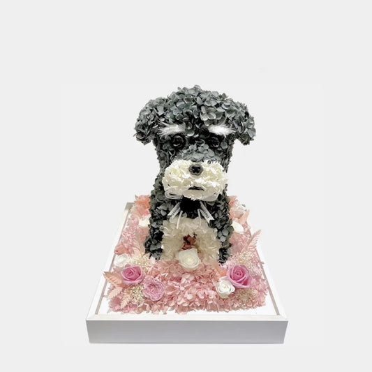 Petal Paw - Schnauzer