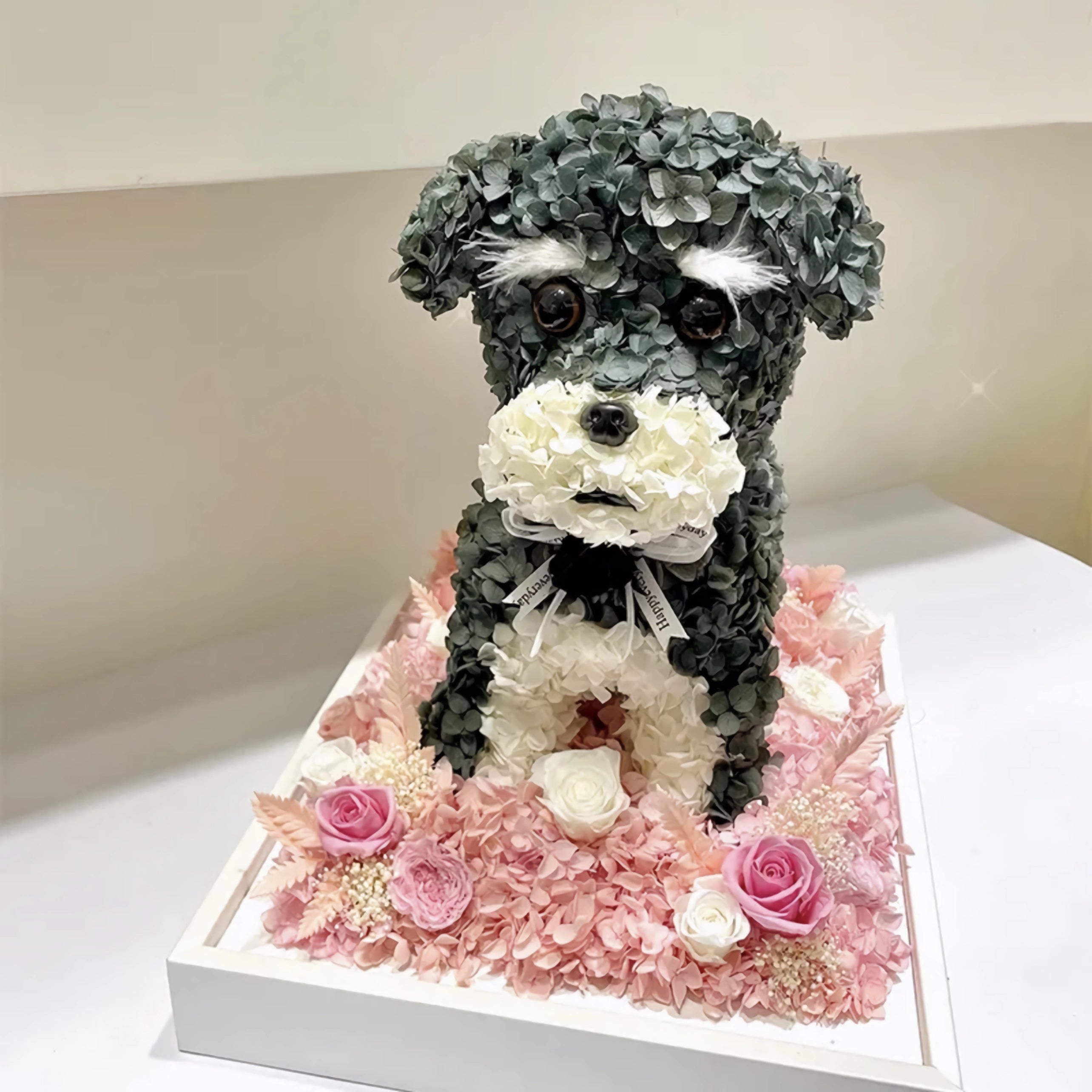 Petal Paw - Schnauzer