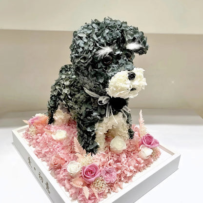 Petal Paw - Schnauzer