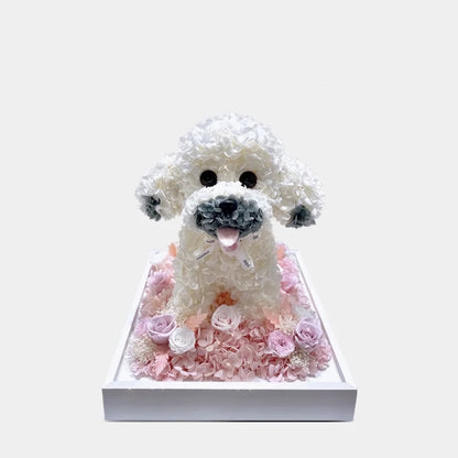 Petal Paw - Poodle