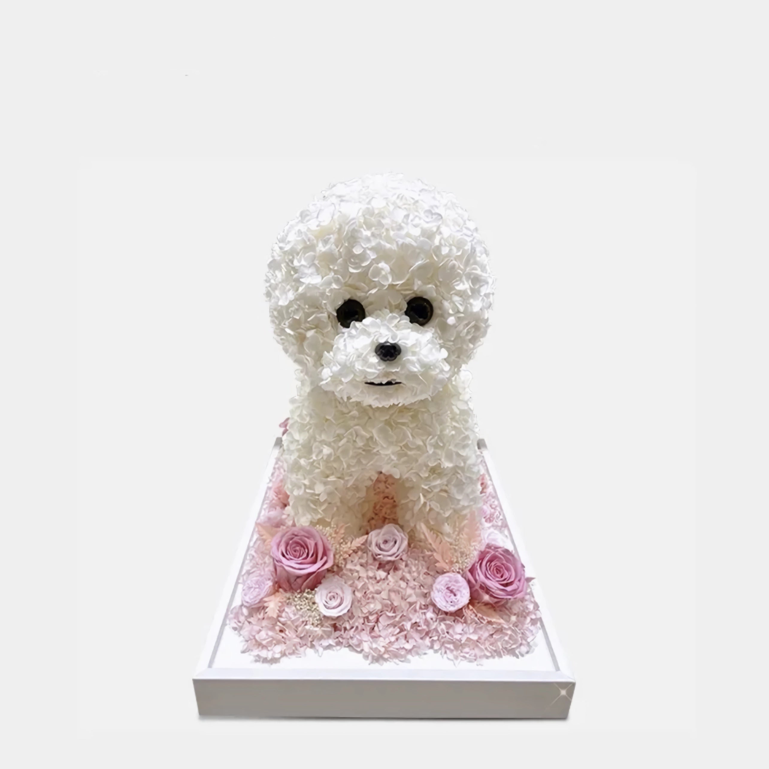 Petal Paw - Bichon Frise