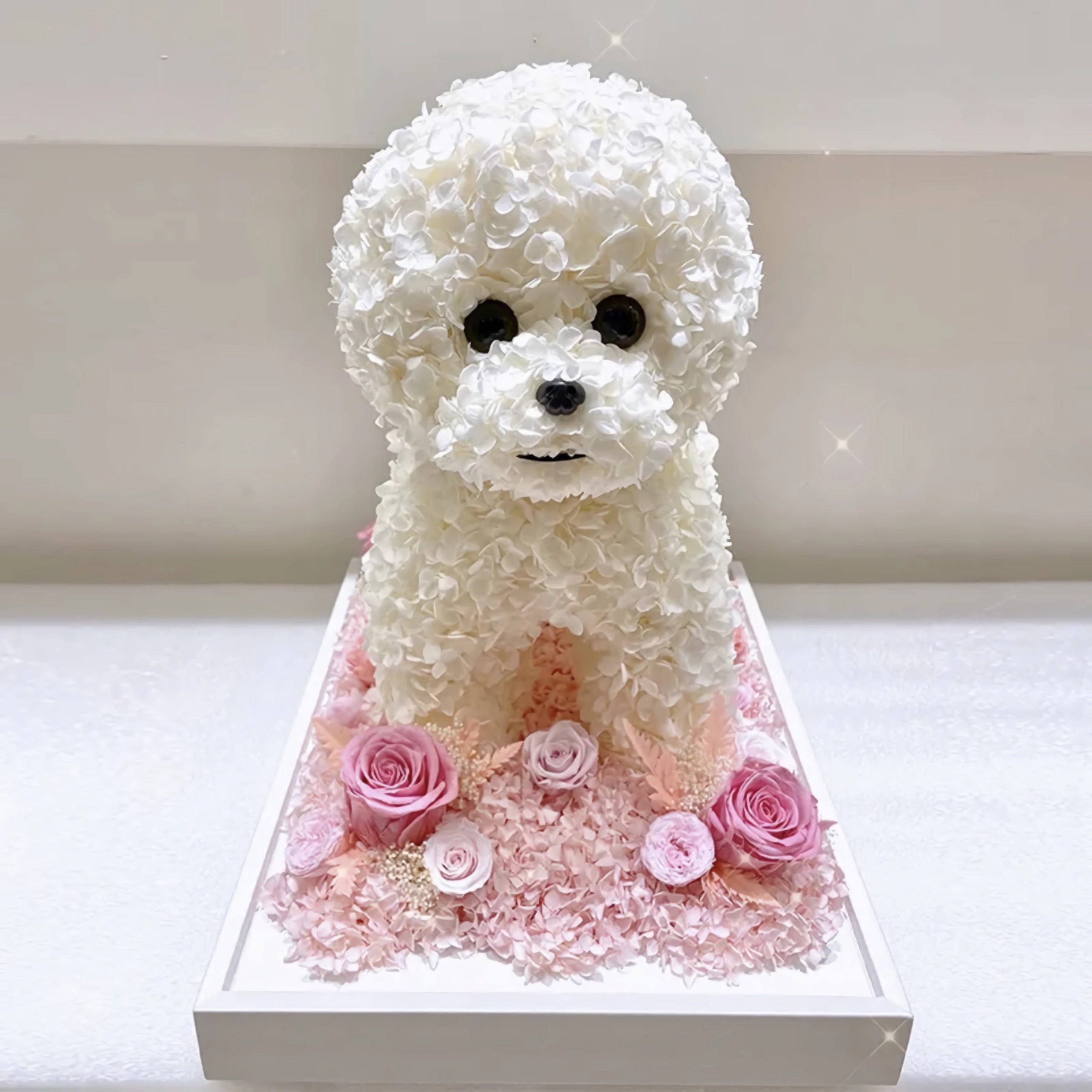 Petal Paw - Bichon Frise