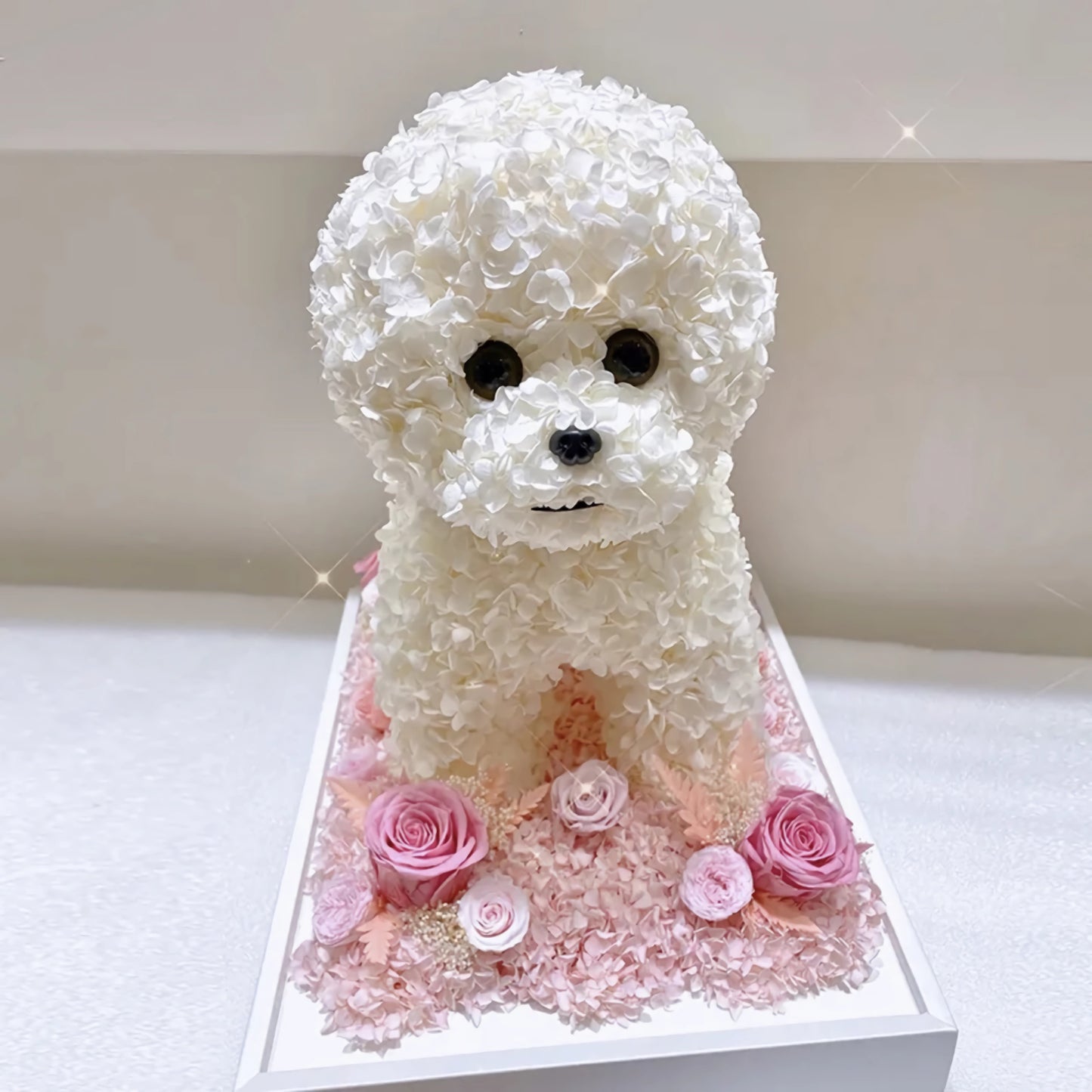 Petal Paw - Bichon Frise