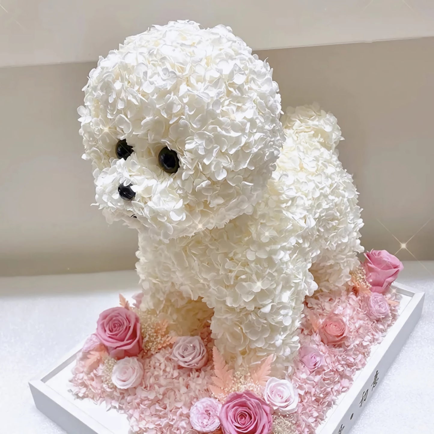 Petal Paw - Bichon Frise