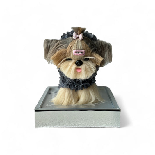 Petal Paw - Yorkshire Terrier