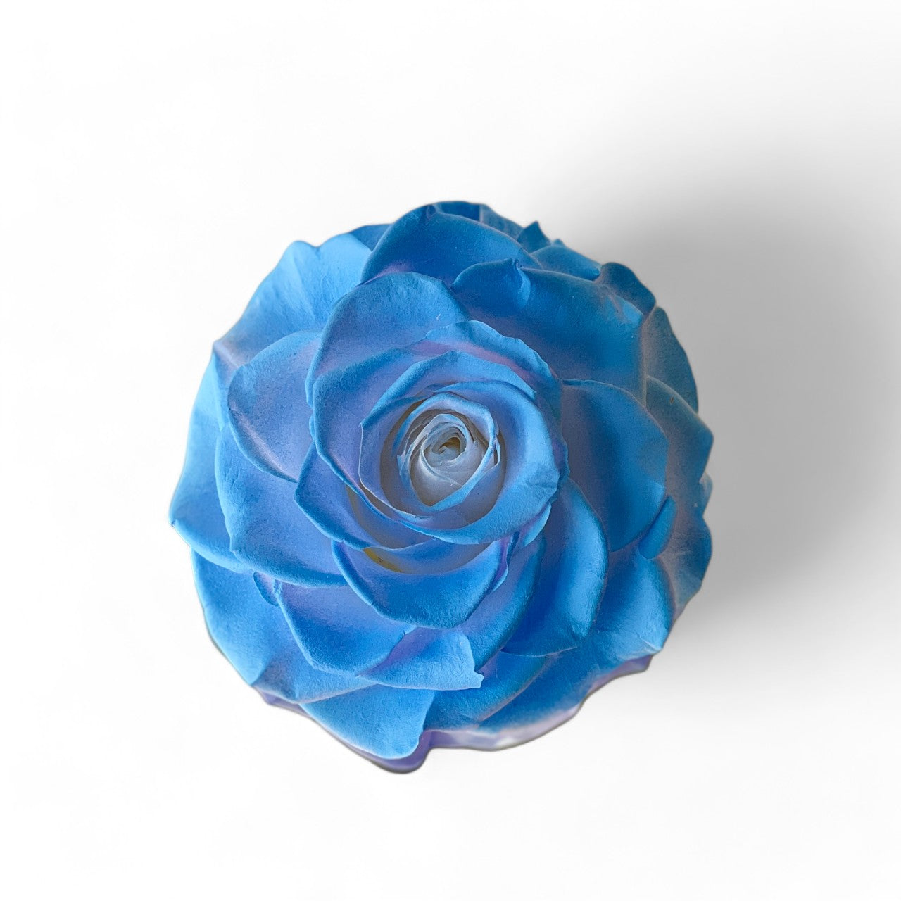 Solitary Splendor featuring a single stunning preserved blue peony in an acrylic box with a glass mirror bottom. A graceful eternity flower gift perfect for expressing admiration, love, or gratitude.