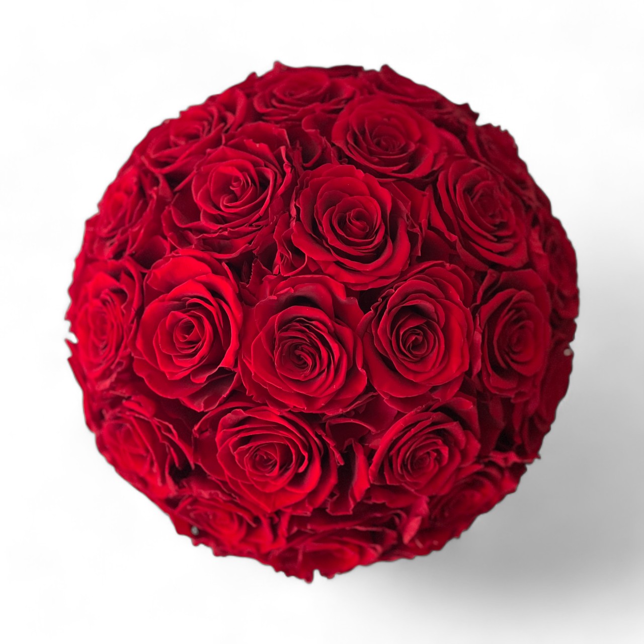 Elegant Medium Round Rose Hat Box featuring 33-38 preserved red roses in a sleek black hatbox, offering a timeless centerpiece perfect for gifting or decorating any space.