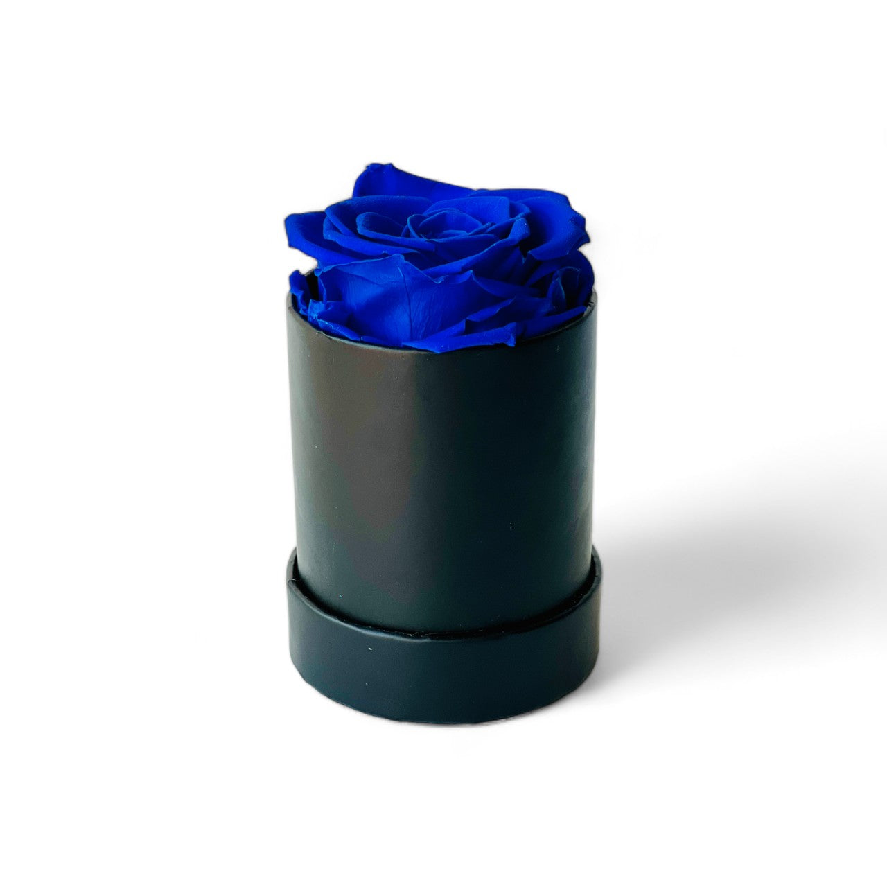 The Midnight Blue Rose in Sleek Cylinder features a single preserved blue rose encased in a modern matte black cylinder. This elegant eternity rose gift adds a touch of sophistication and vivid color to any space, perfect for special occasions or as a unique decorative piece.