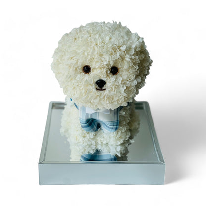 Petal Paw - White Poodle