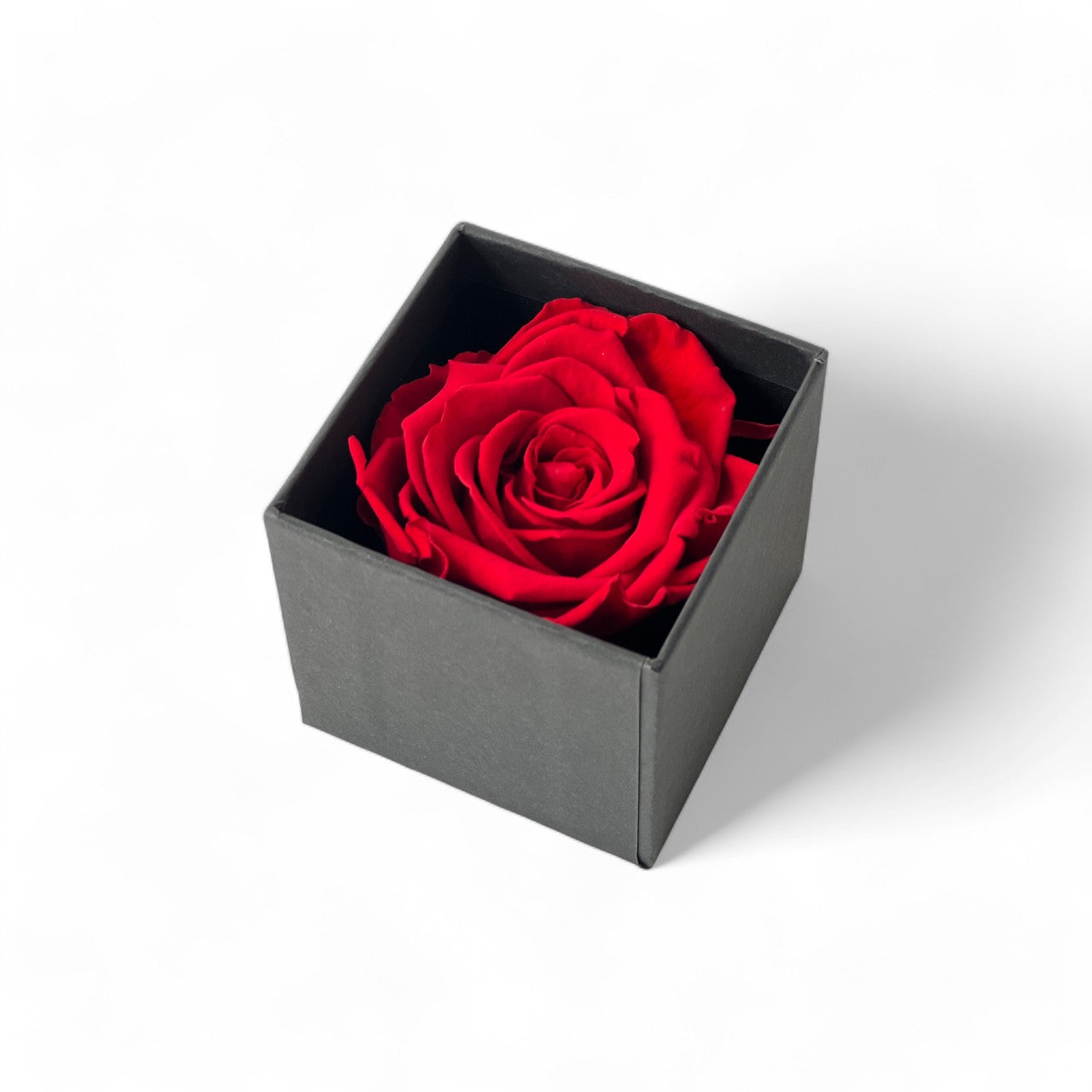 The Solitary Red Rose Box features a single luxurious preserved red rose in a matte black box, symbolizing timeless love and devotion. This elegant eternity rose gift requires no maintenance and adds a touch of classic beauty to any space, perfect for special occasions like Valentine's Day or anniversaries.