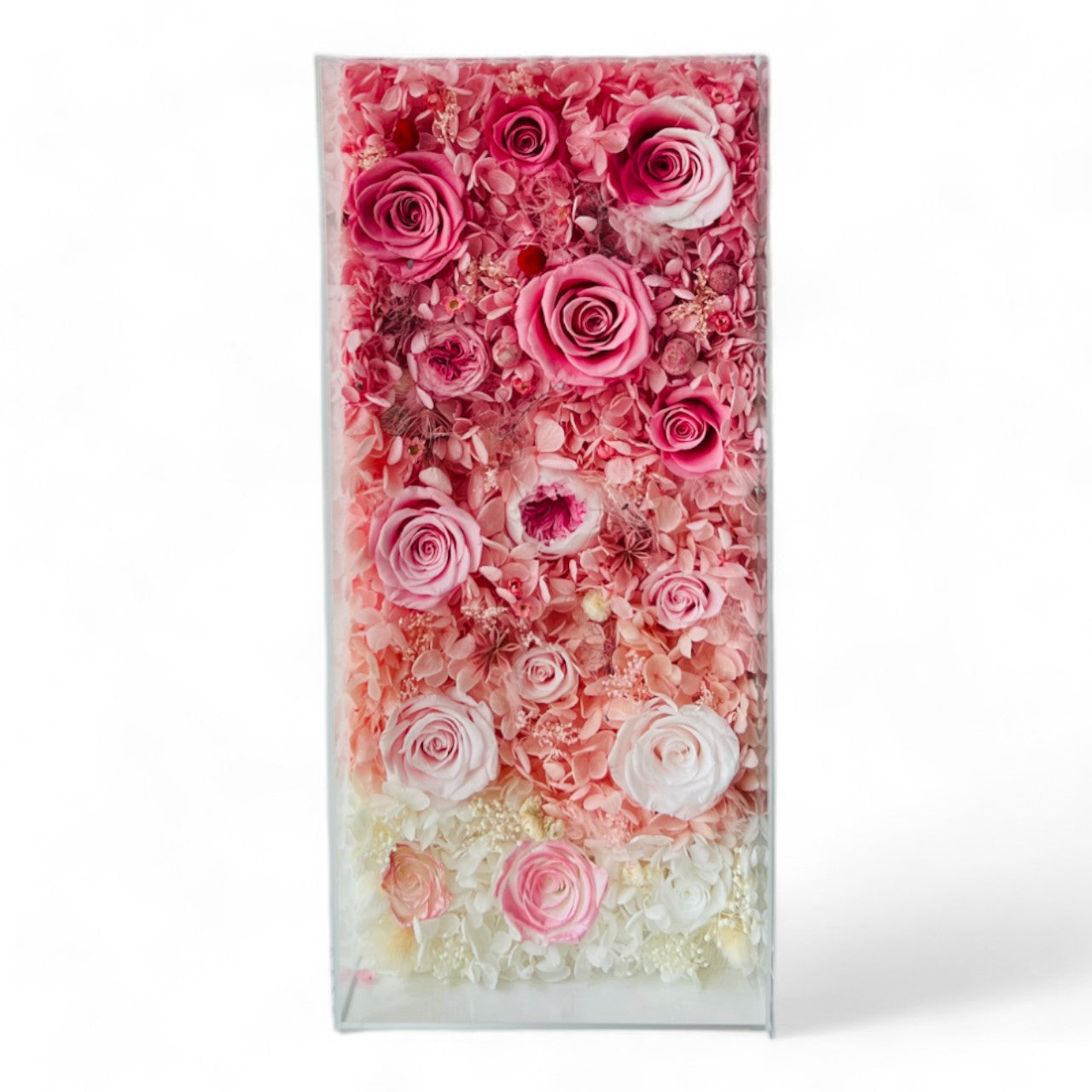 Stunning preserved floral arrangement featuring a gradient of pink to white roses and hydrangeas, encased in a clear frame. Perfect as a timeless eternity rose gift or sophisticated decor piece.