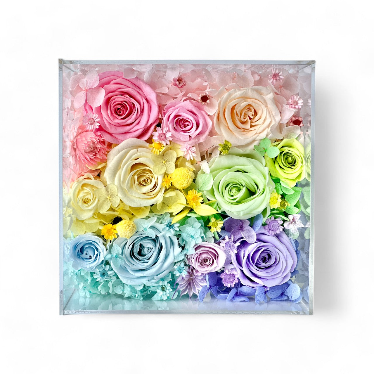 macaroon pastel color Preserved eternity roses with hydrangeas in a gift box
