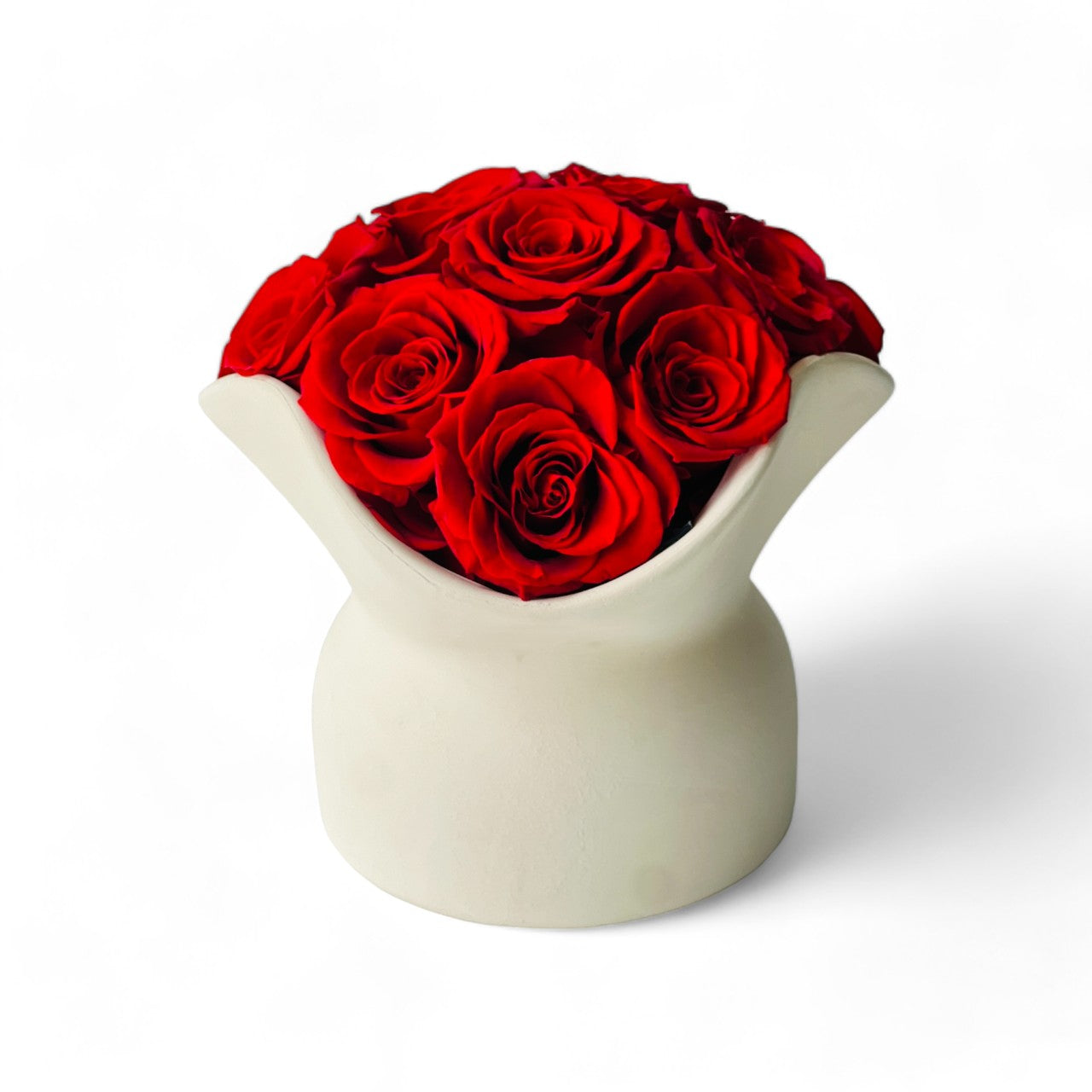 Deep red preserved roses in a cream ceramic pitcher, combining classic beauty with rustic charm. Perfect as elegant decor or a lasting, maintenance-free gift.