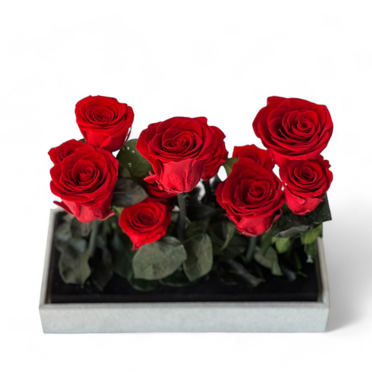 Vibrant preserved red roses arranged in a sleek black box, creating a bold and elegant display. Perfect as an eternity rose gift for lasting beauty and sophistication.