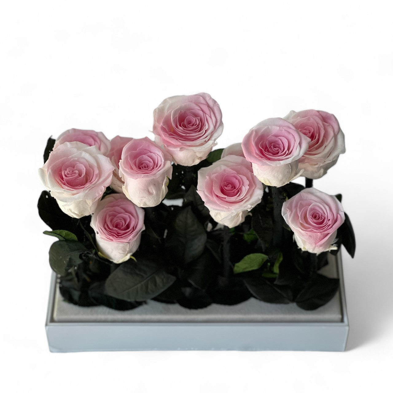 Elegant preserved roses in a blush pink ombre effect, beautifully arranged with dark green foliage in a metallic silver box. Perfect as a timeless eternity rose gift.