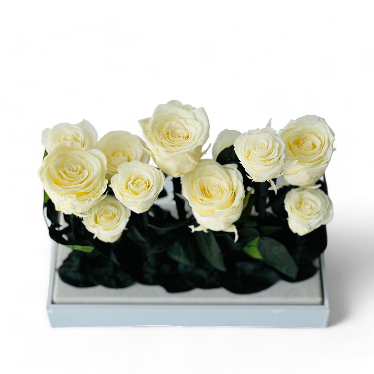 Elegant preserved buttermilk yellow roses arranged in a sleek rectangular box, complemented by deep green foliage. A timeless eternity rose gift perfect for lasting beauty and sophistication.