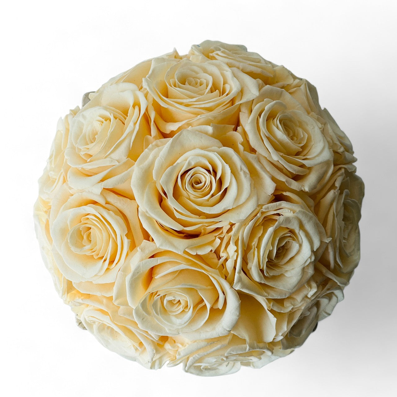 Golden Glow features creamy yellow preserved roses in a rustic concrete pot, offering enduring beauty without maintenance—a perfect gift or décor piece.