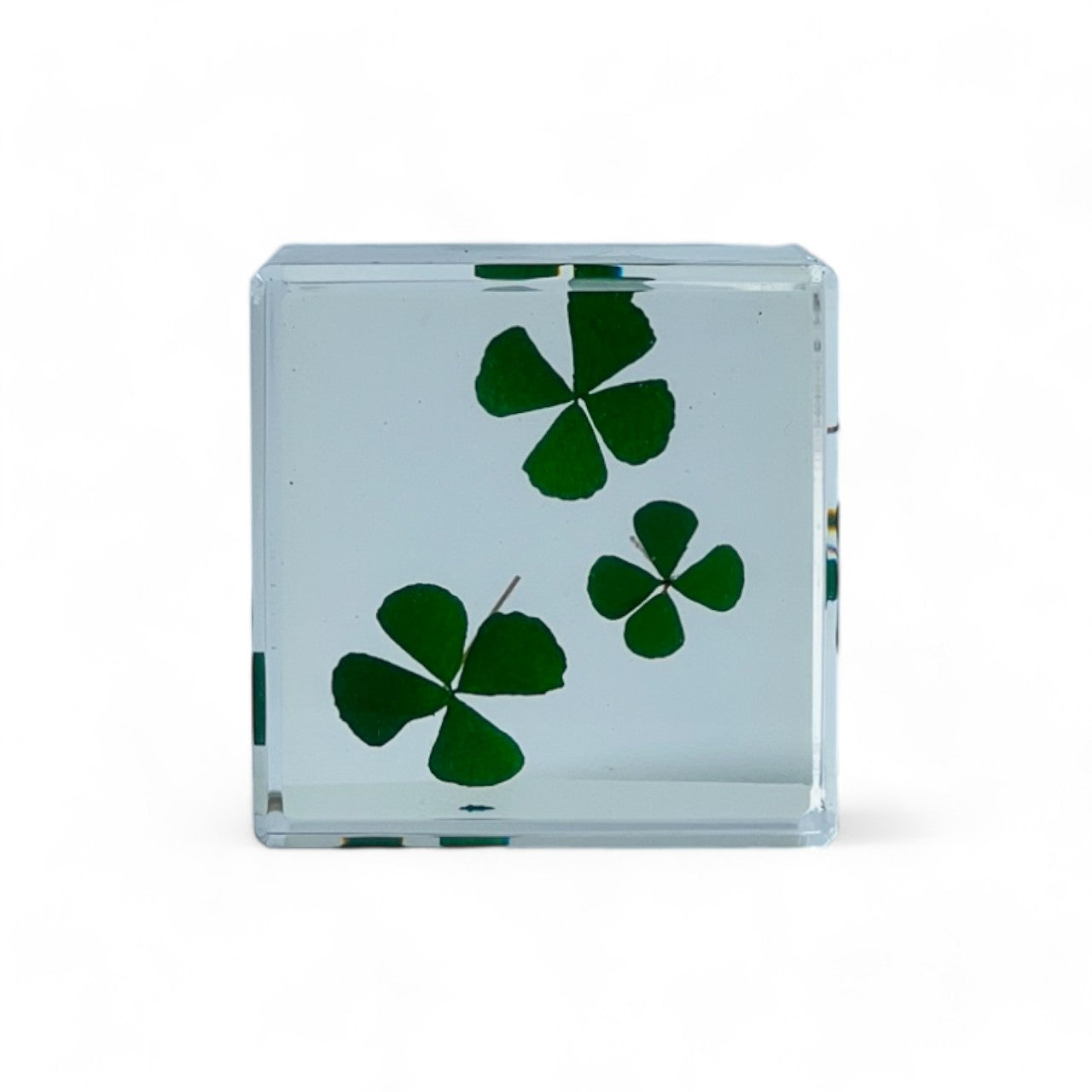 The Sola Cube features a beautifully preserved clover encased in clear resin, offering a 360-degree view of its intricate details. This unique eternity flower piece is perfect for adding a natural touch to any decor or gifting on special occasions.