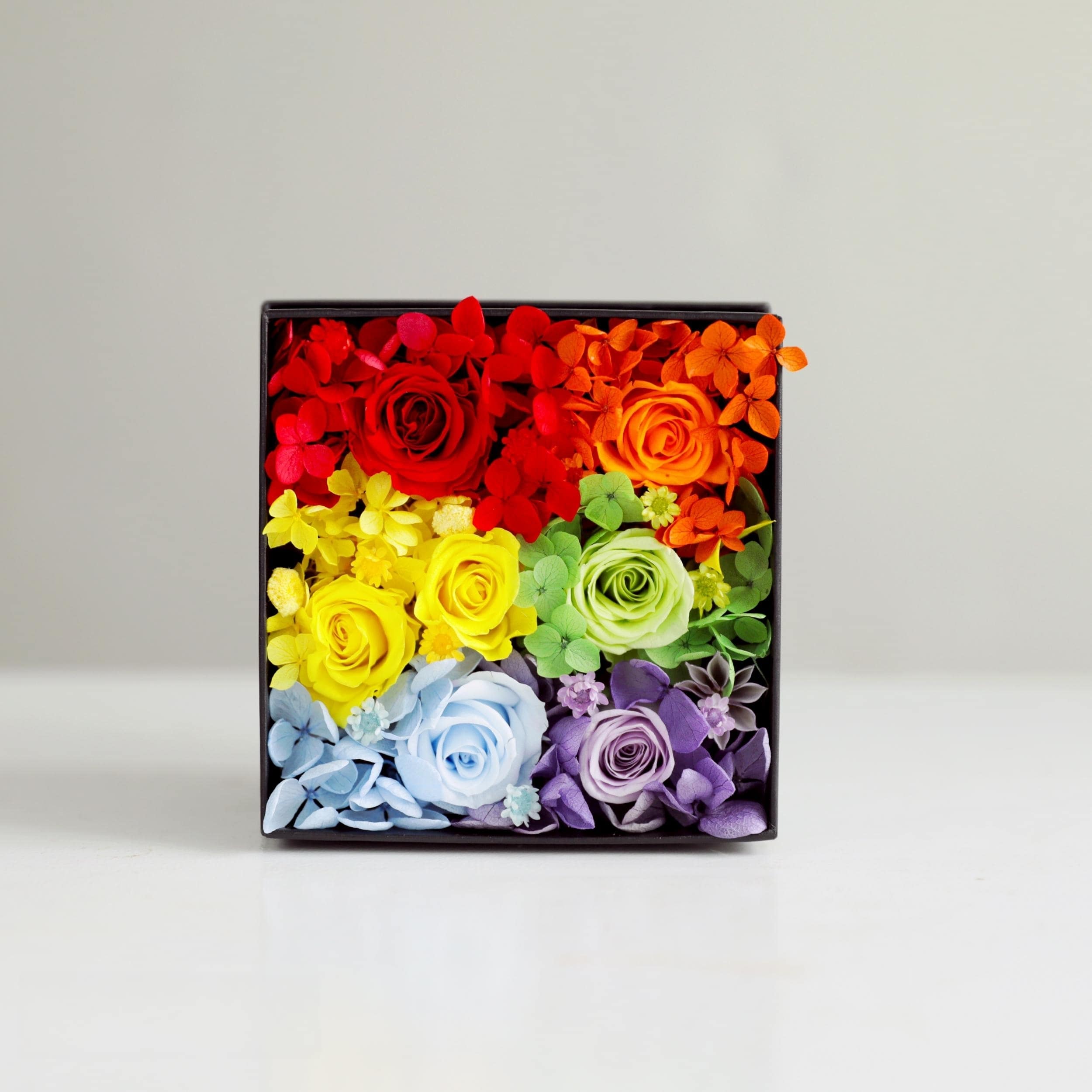 Rainbow preserved roses in a vibrant eternity flowers box
