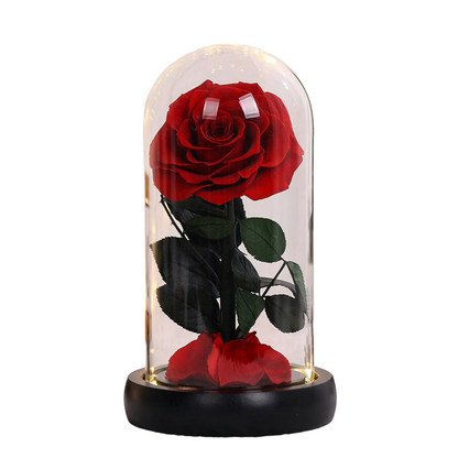 Luxury Red Beauty and the Beast Rose – Preserved Forever Rose Gift in Glass Dome