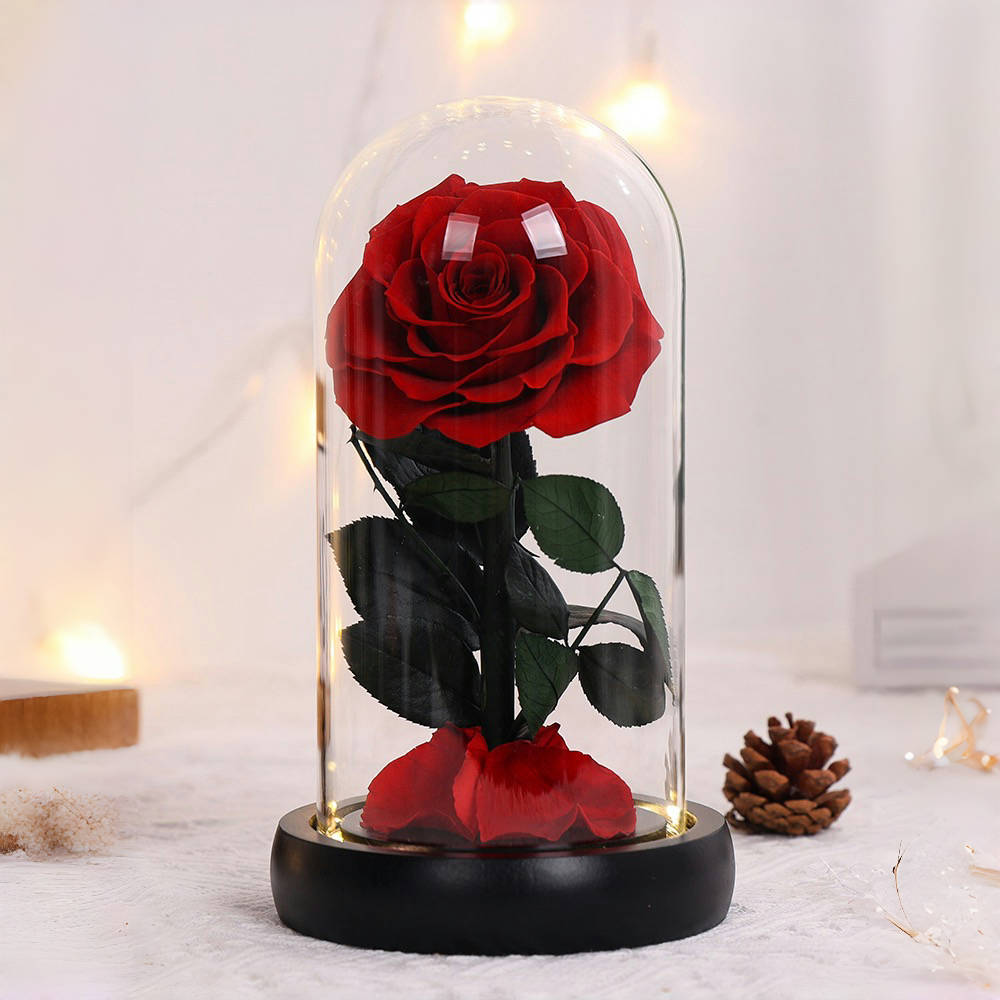 Luxury Red Beauty and the Beast Rose – Preserved Forever Rose Gift in Glass Dome